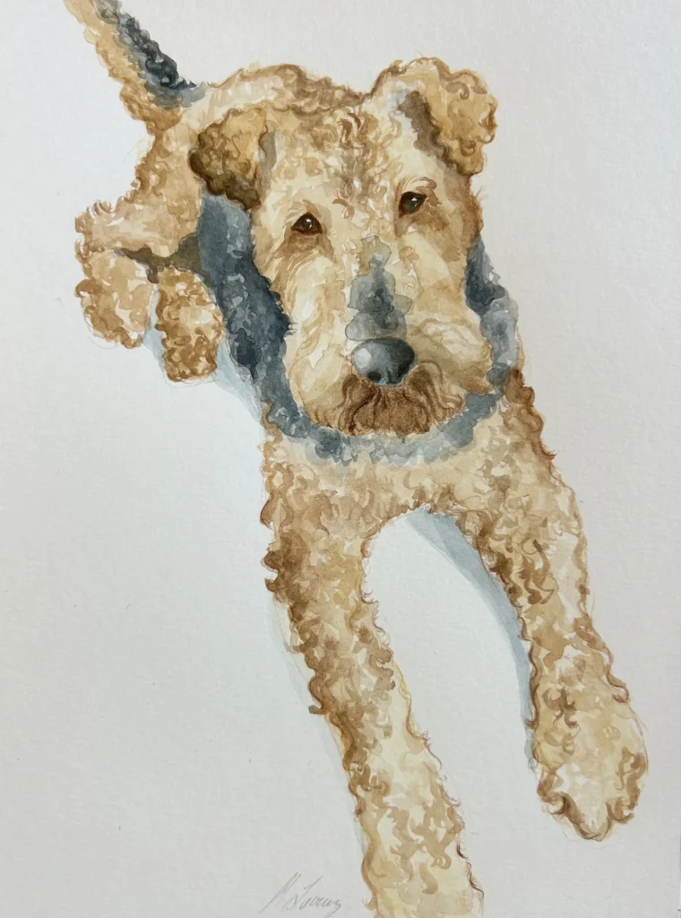 Retrato en acuarela de perro Airedale