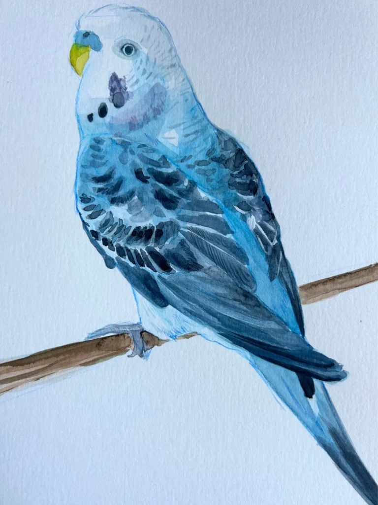 Dibujo en acuarela de pájaro - 2