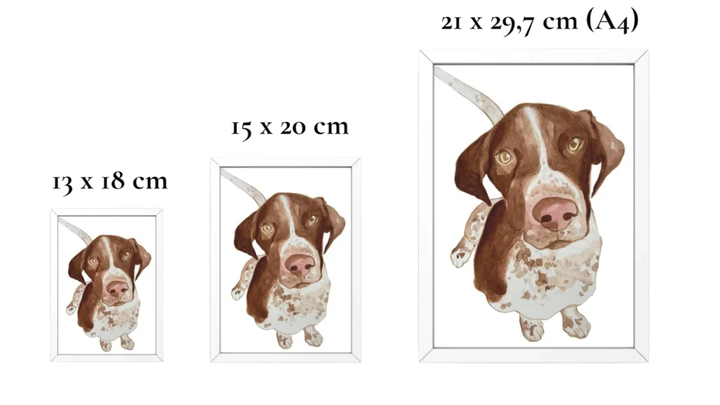 Formatos / medidas / Tamaños - Artfaunia